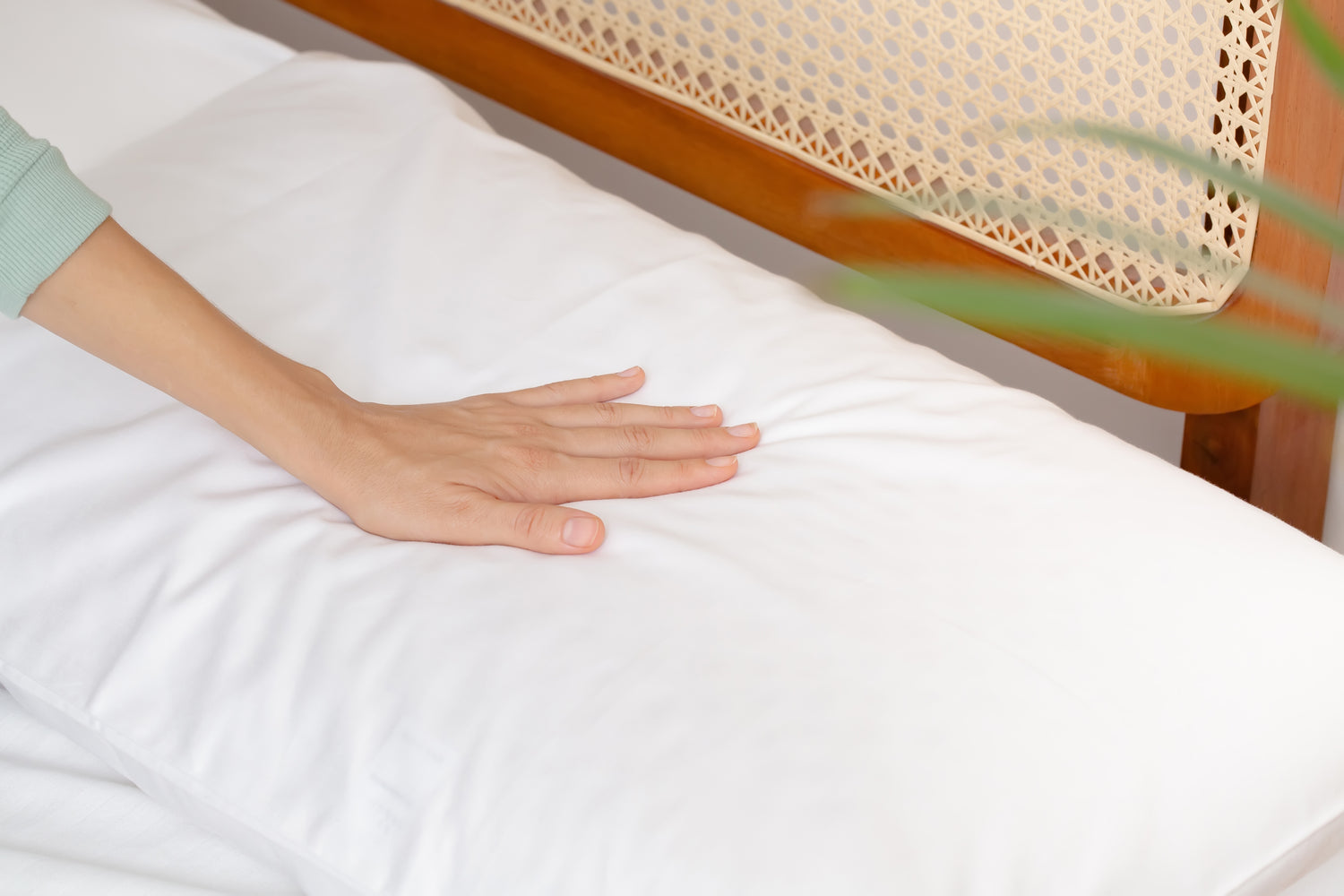 Organic Pillowcase (2 Pack)