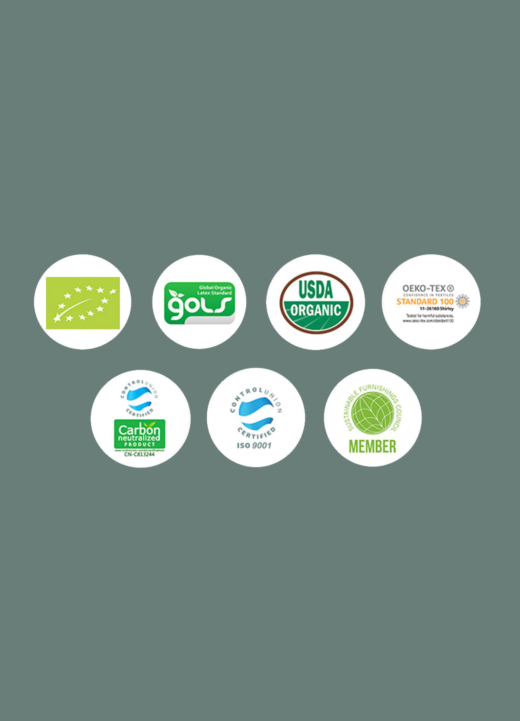 Toddler Organic Latex Pillow | Toddler Pillows