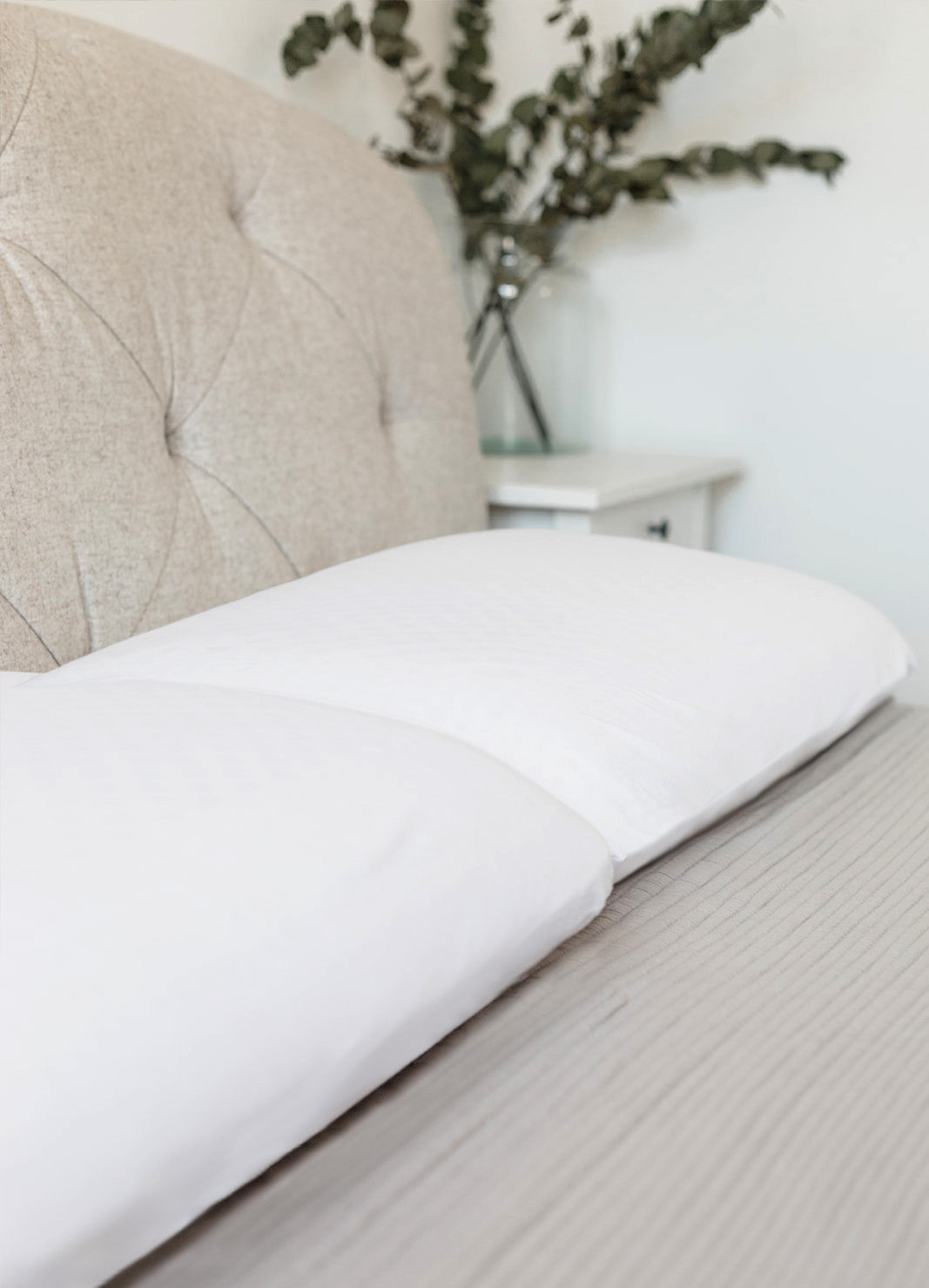 Classic Organic Latex Pillow | Organic Pillows